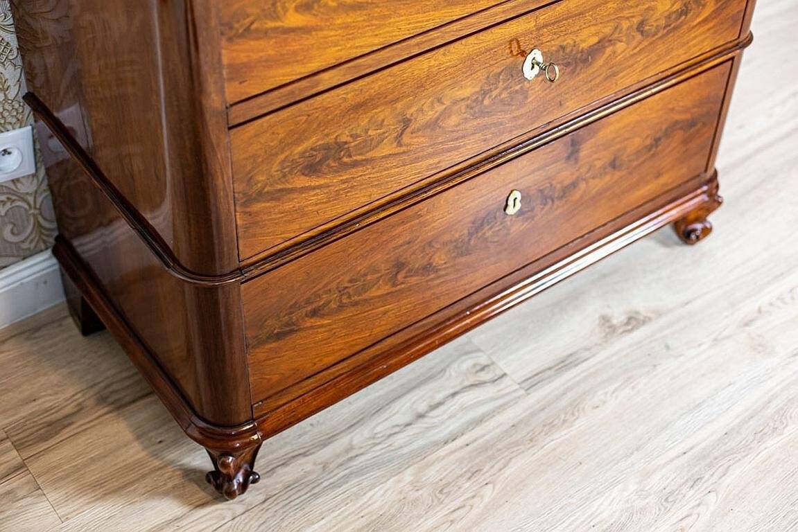 Antique Danish Walnut Cabinet, 1890s