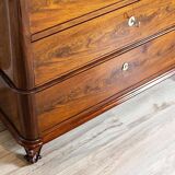 Antique Danish Walnut Cabinet, 1890s