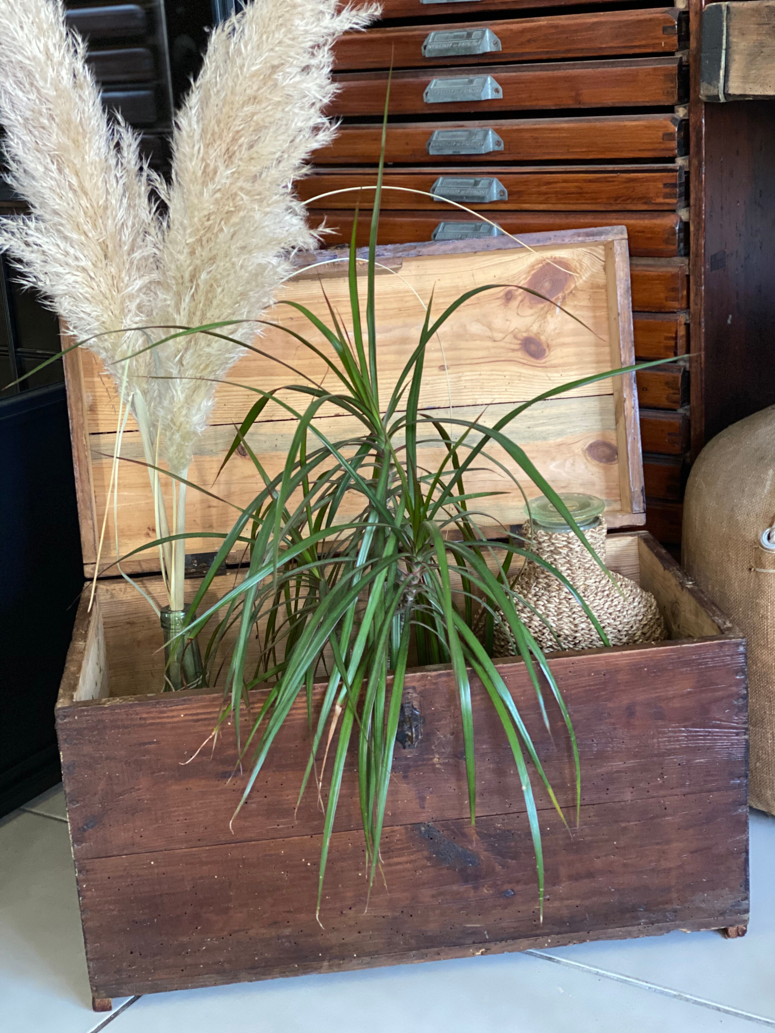 Old vintage wooden chest