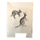 Drawing Kangaroos