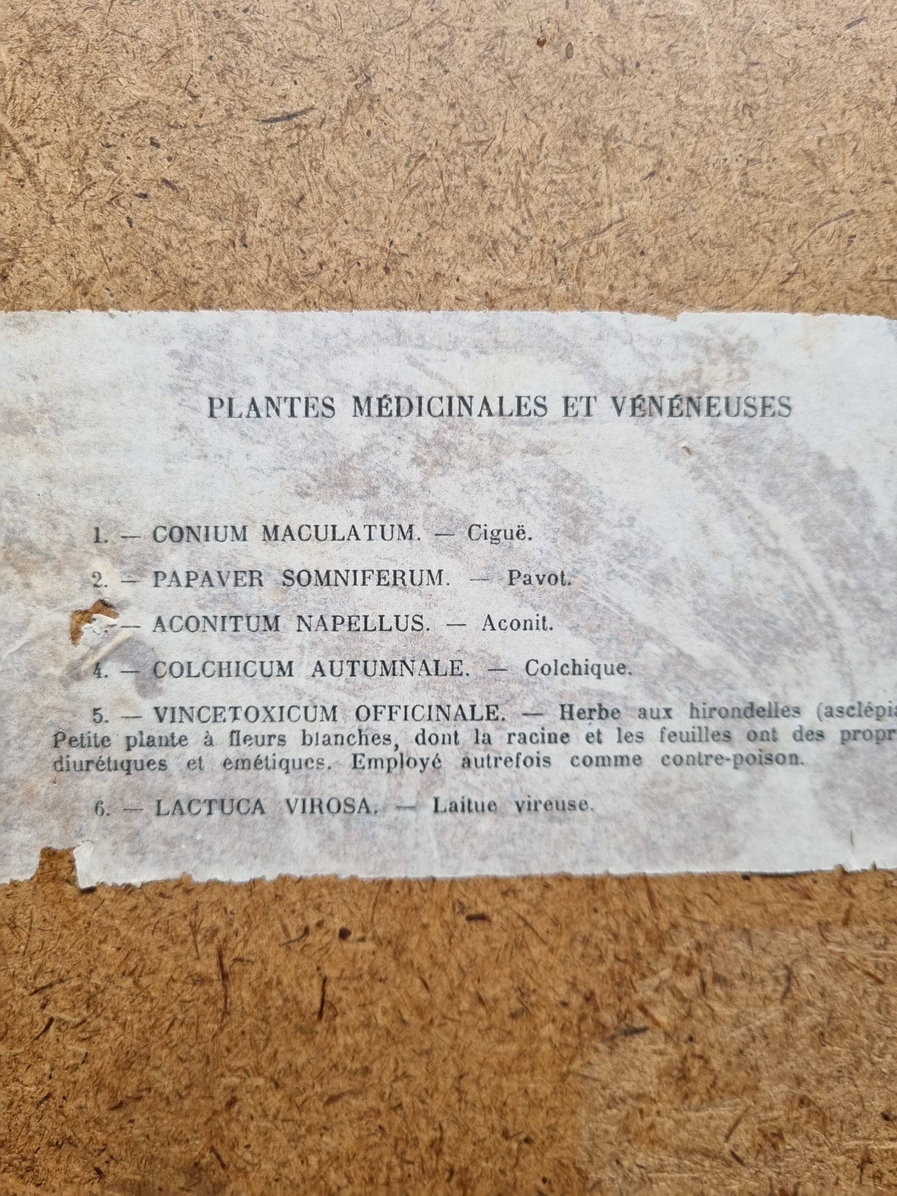 Paire de cadres art deco plantes médicinales
