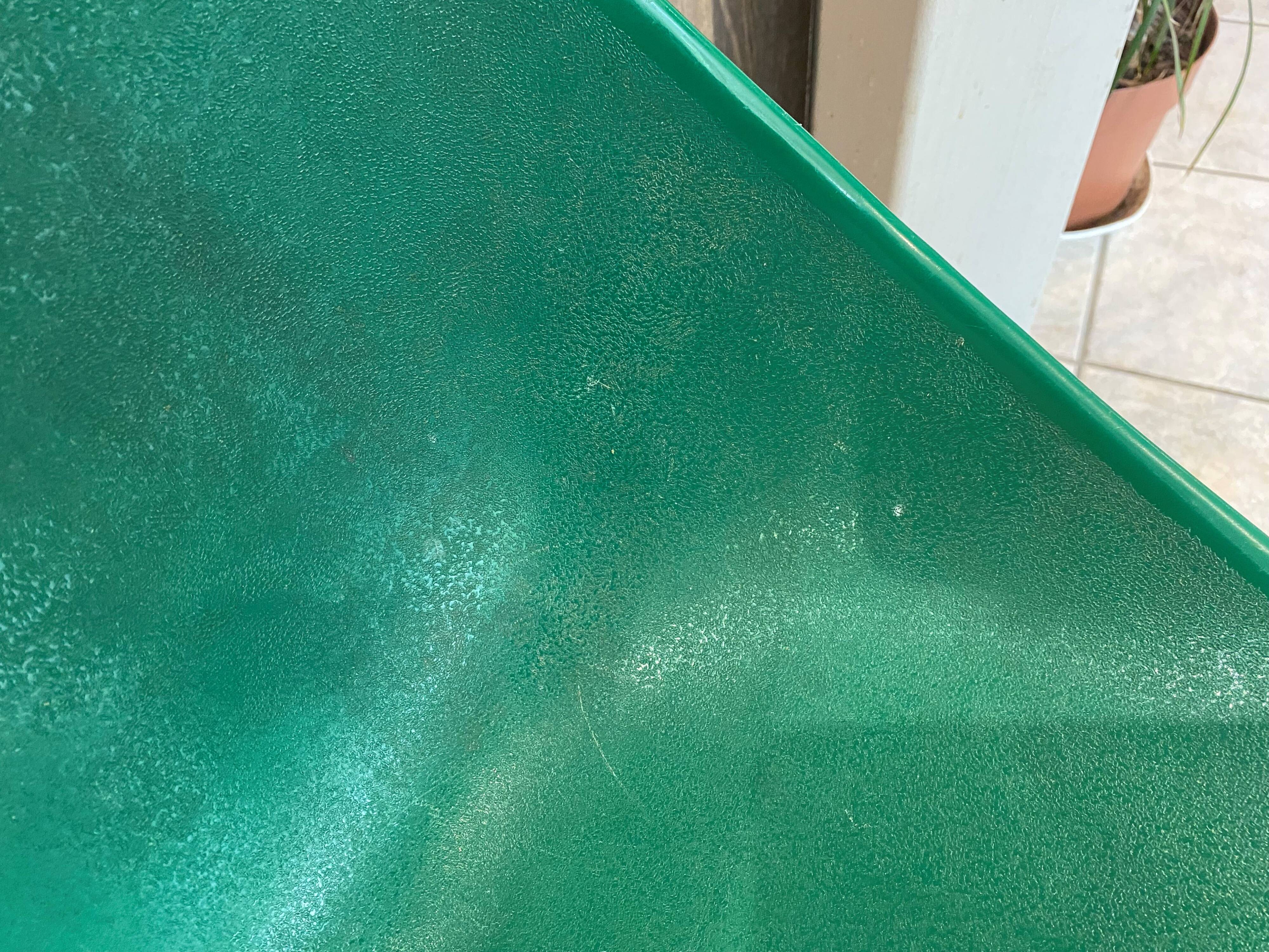 A shell chair by Pierre Guariche for Meurop in vintage green from the 1960s.