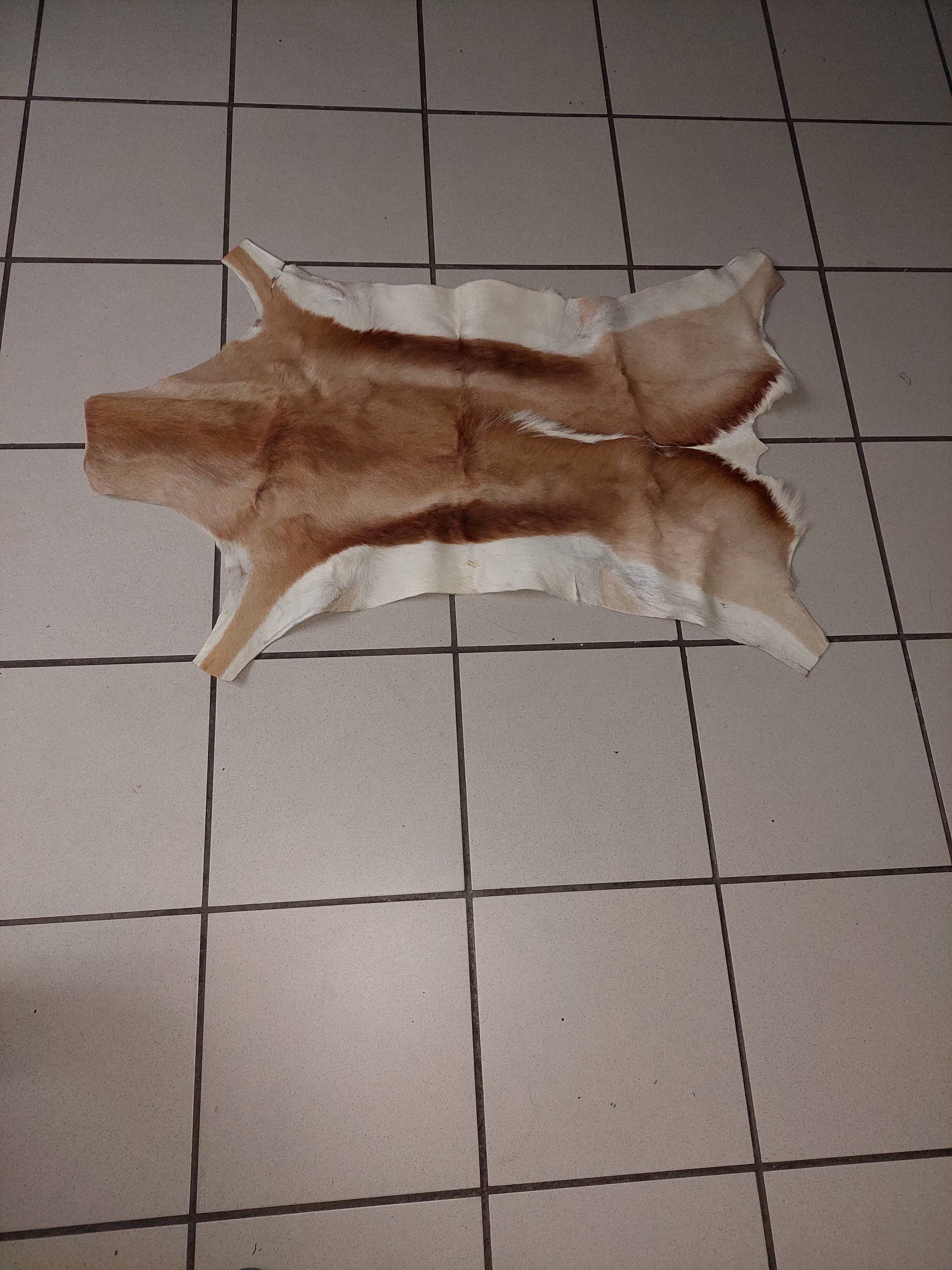 Used natural African animal skin rug (70x100cm)