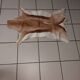 Used natural African animal skin rug (70x100cm)
