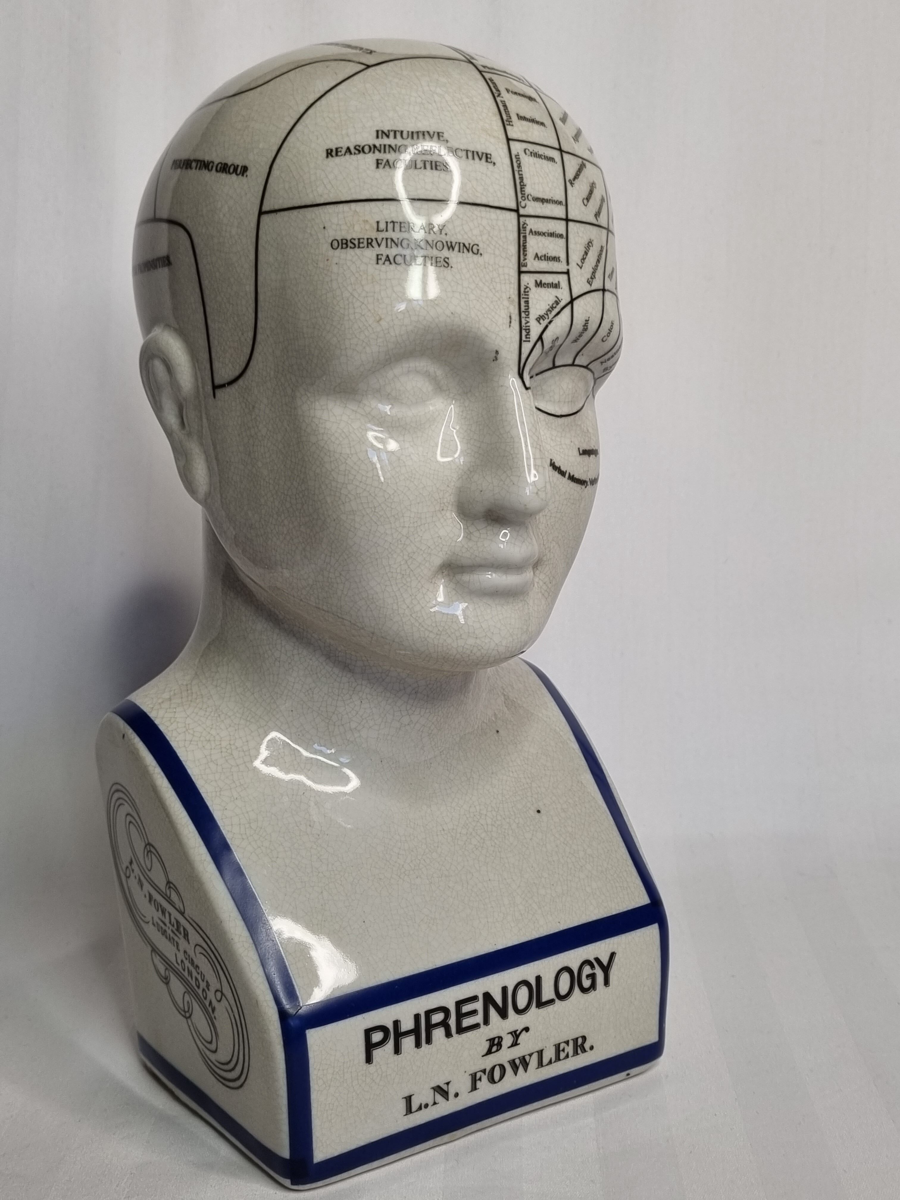 Phrenology bust after d'après L.N. Fowler