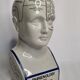 Phrenology bust after d'après L.N. Fowler