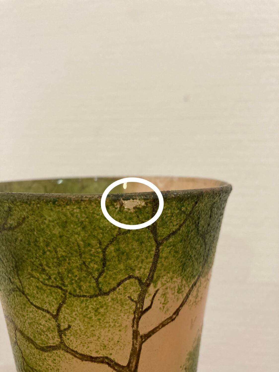 Enameled glass vase “lake landscape” François Théodore Legras