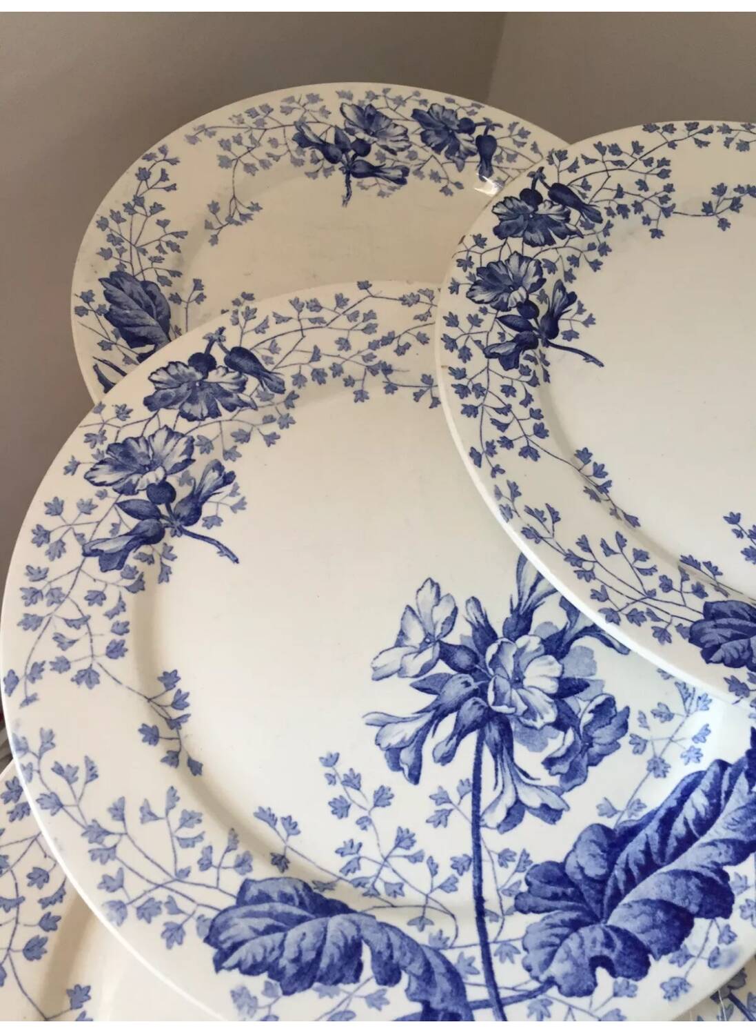 Assiette terre de fer Creil et Montereau décor primevère XIX