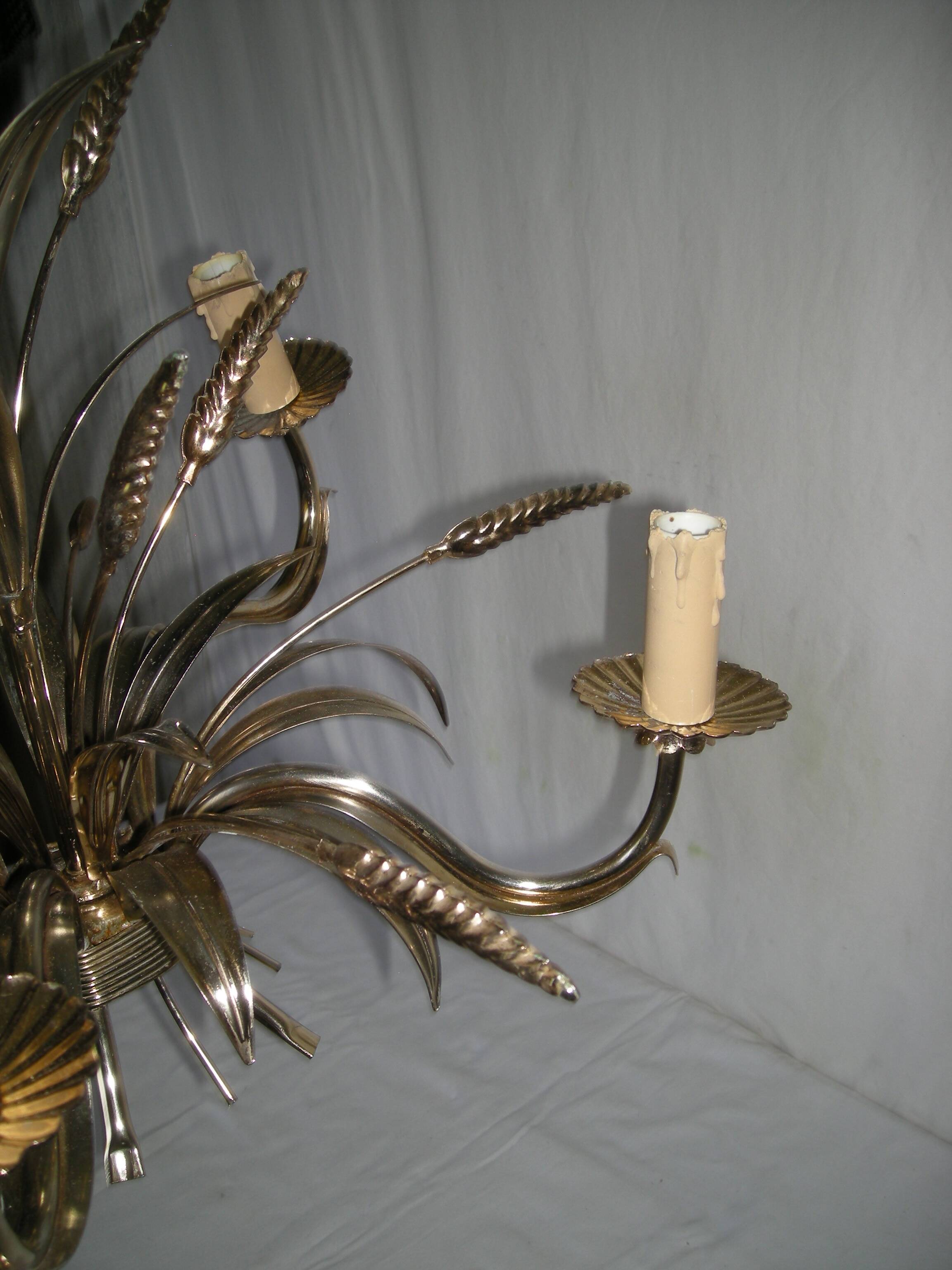 Wheat ears lustre