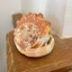Great shell (Cypraecassis rufa)