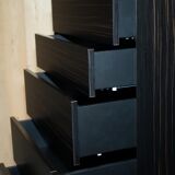 High commode Kenzo Takada in Macassar Ebony with soft-close drawers.