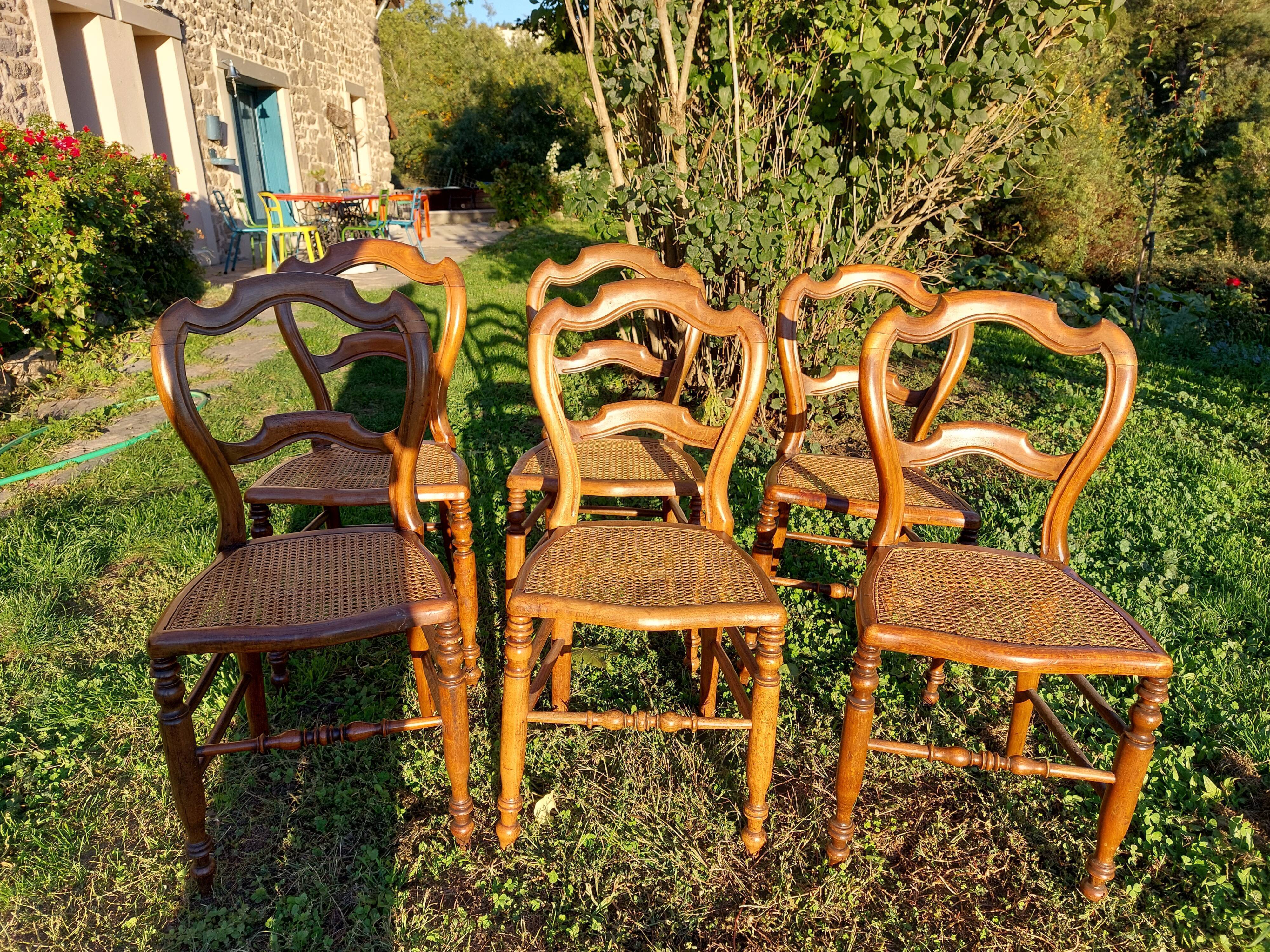 Lot of tanned chairs