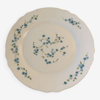 Arcopal dish round Veronica forget-me-not