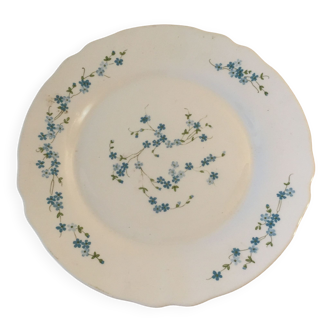 Arcopal dish round Veronica forget-me-not