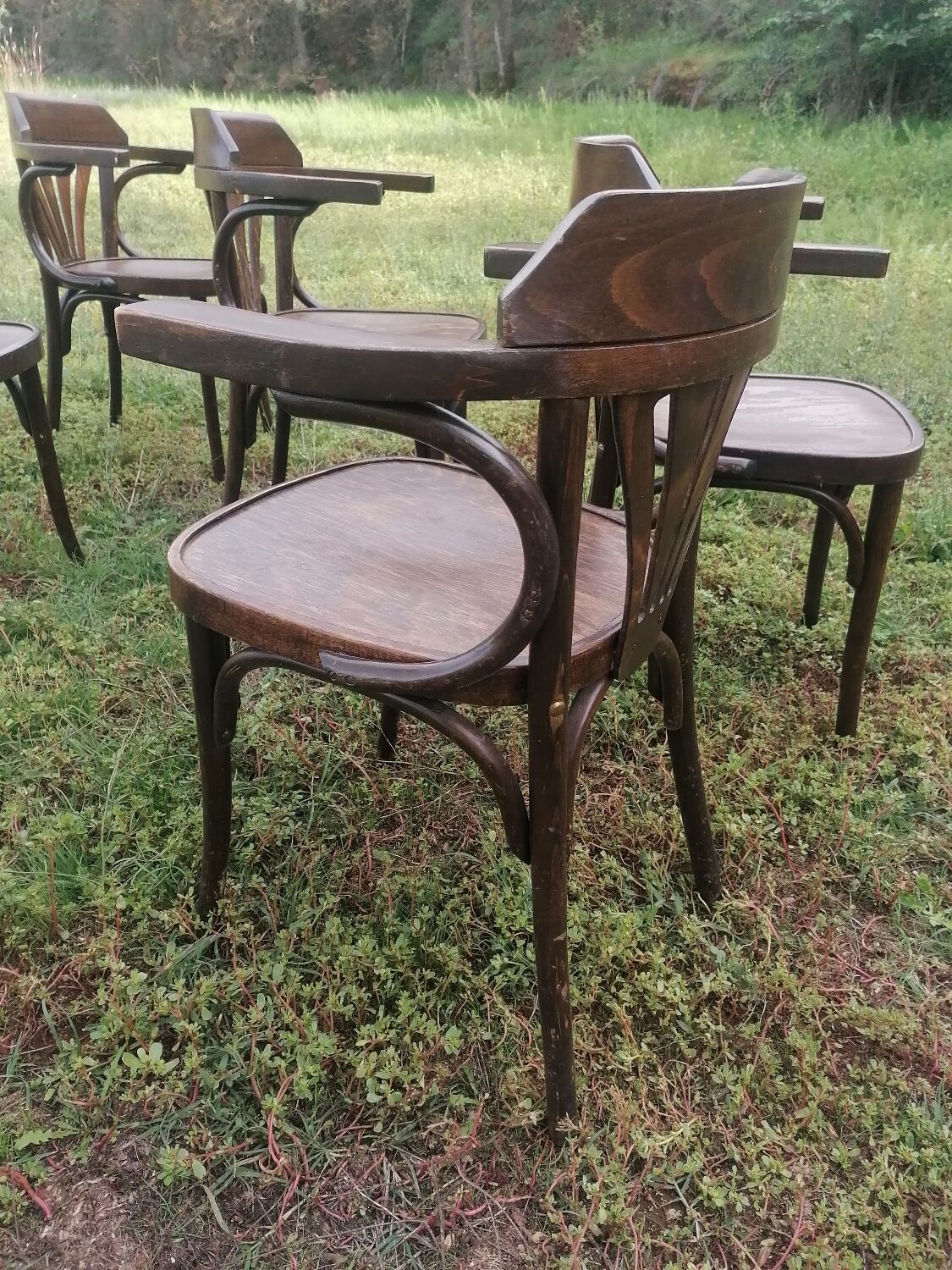 Set of 30 vintage bistro armchairs