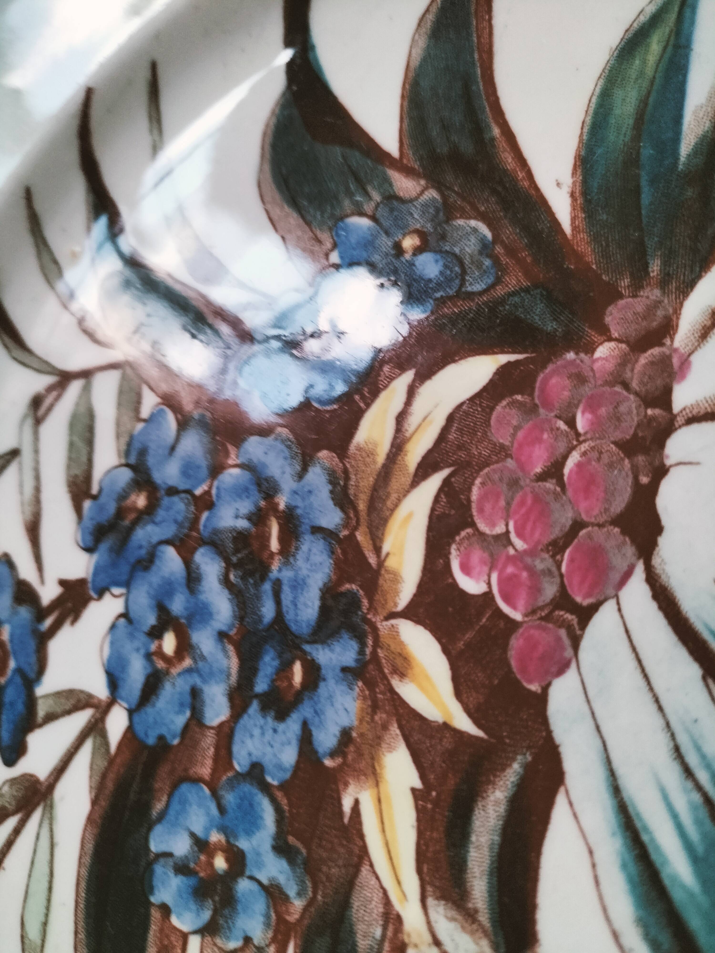 Sanejouand & Graves Clairefontaine plate, polychrome Tavia decoration