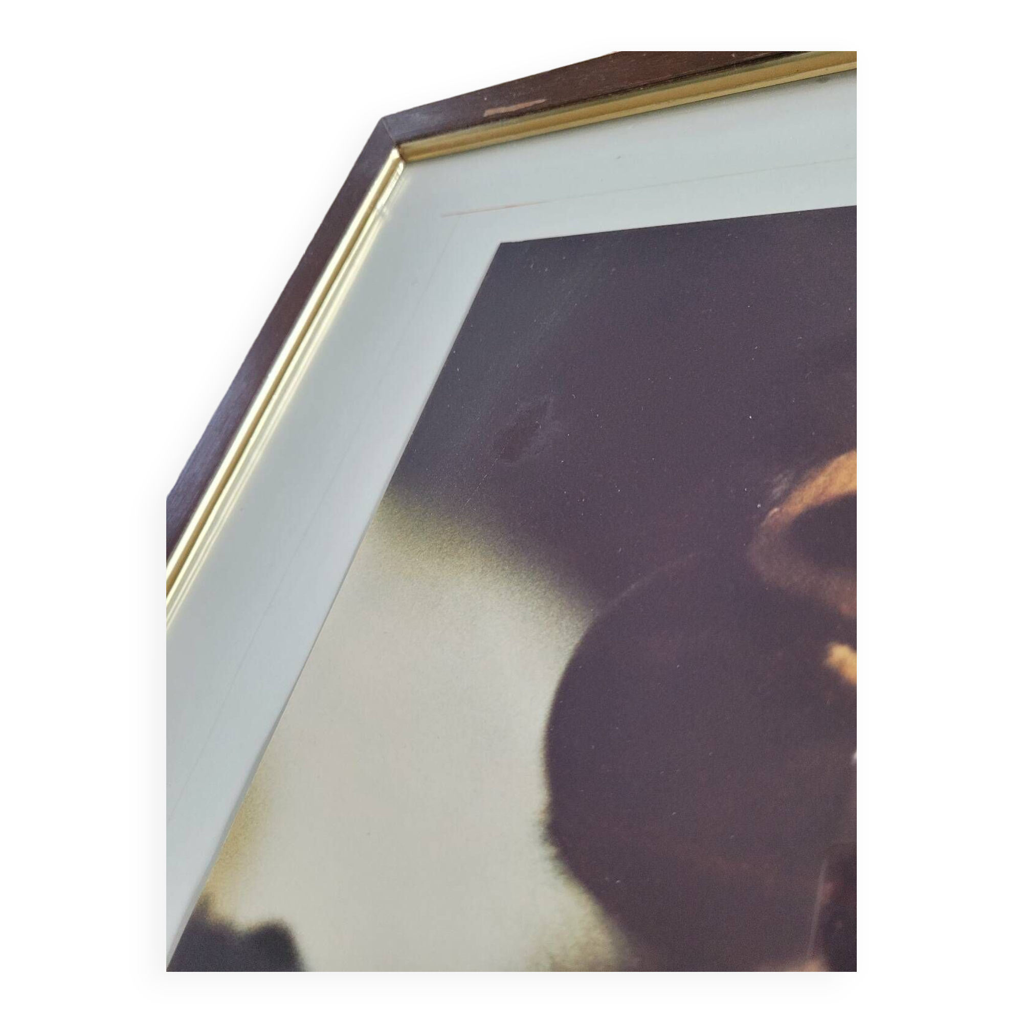 Dragonfly vintage photo painting