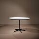 Dining & Work Table by Charles and Ray Eames for Herman Miller | USA 1950s
