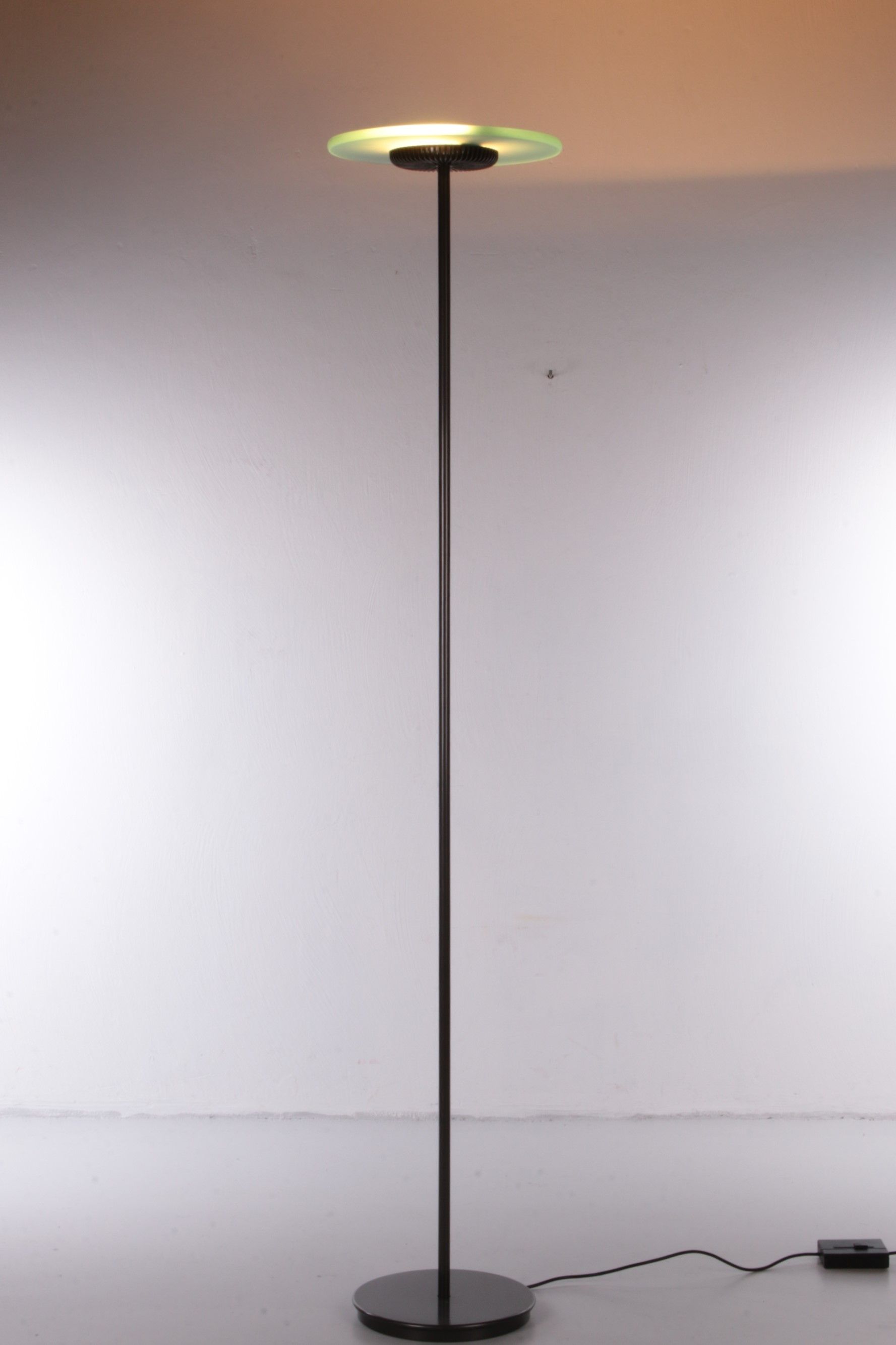 Aureola Halo Floor Lamp by Cini & Nils, Italy 1980