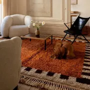 Beni Ouarain Moroccan rug orange terracotta 300x200 cm