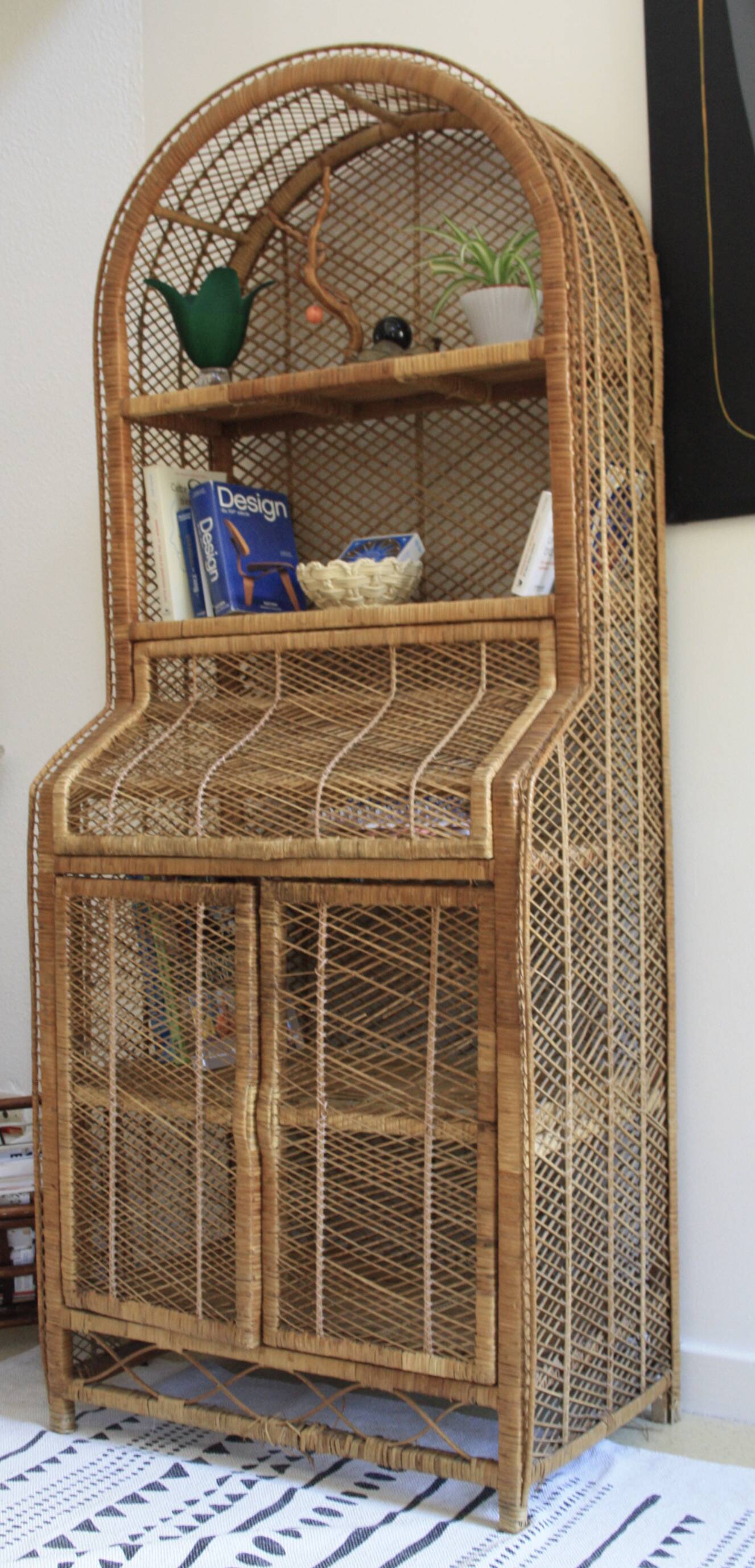 Rattan and woven wicker library