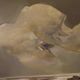 Italian Seascape Painting Signed Ferruccio Rosini Dated 1980