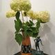 Vase West Germany