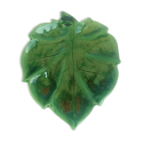 Green dabbling leaf cut