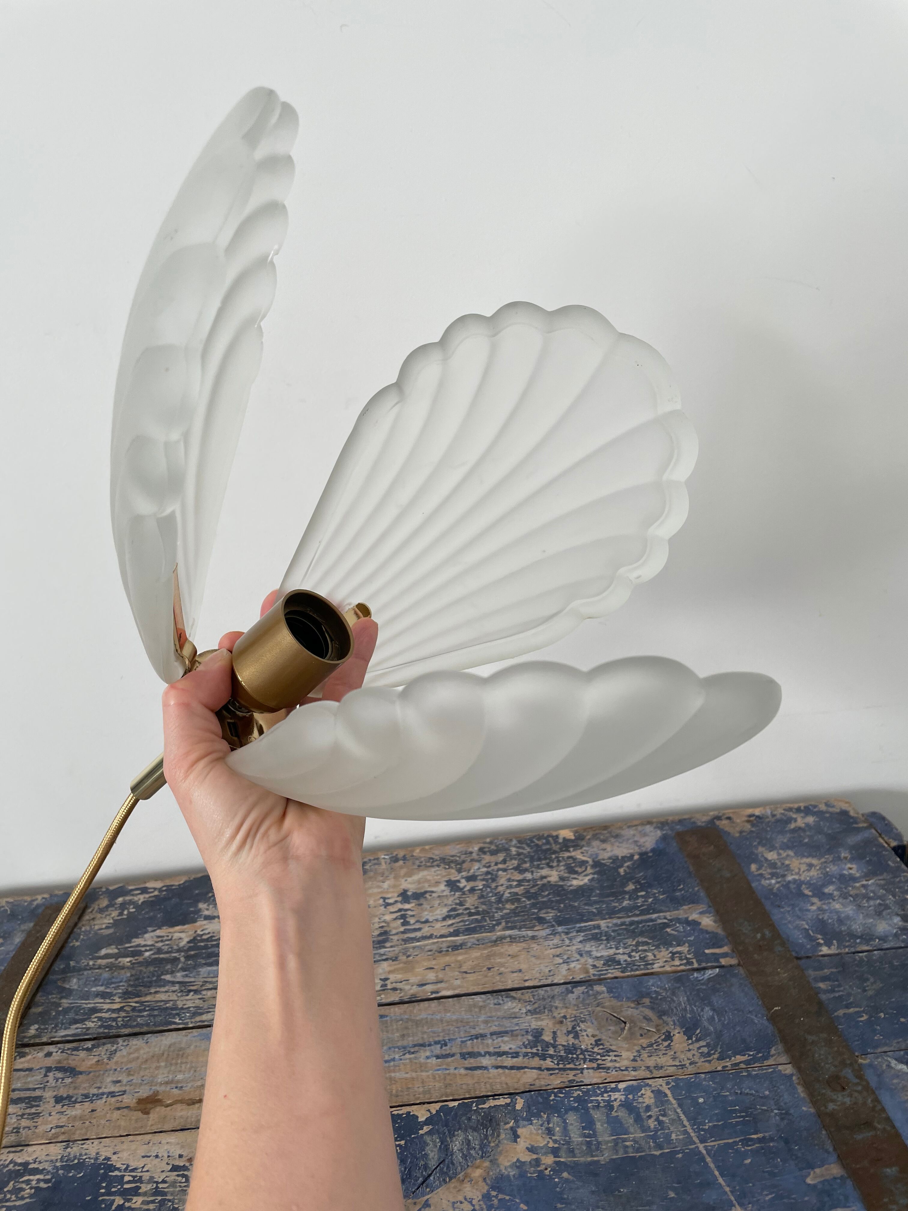 Shell suspension or shell in new electrified glass paste
