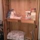 Walnut cabinet