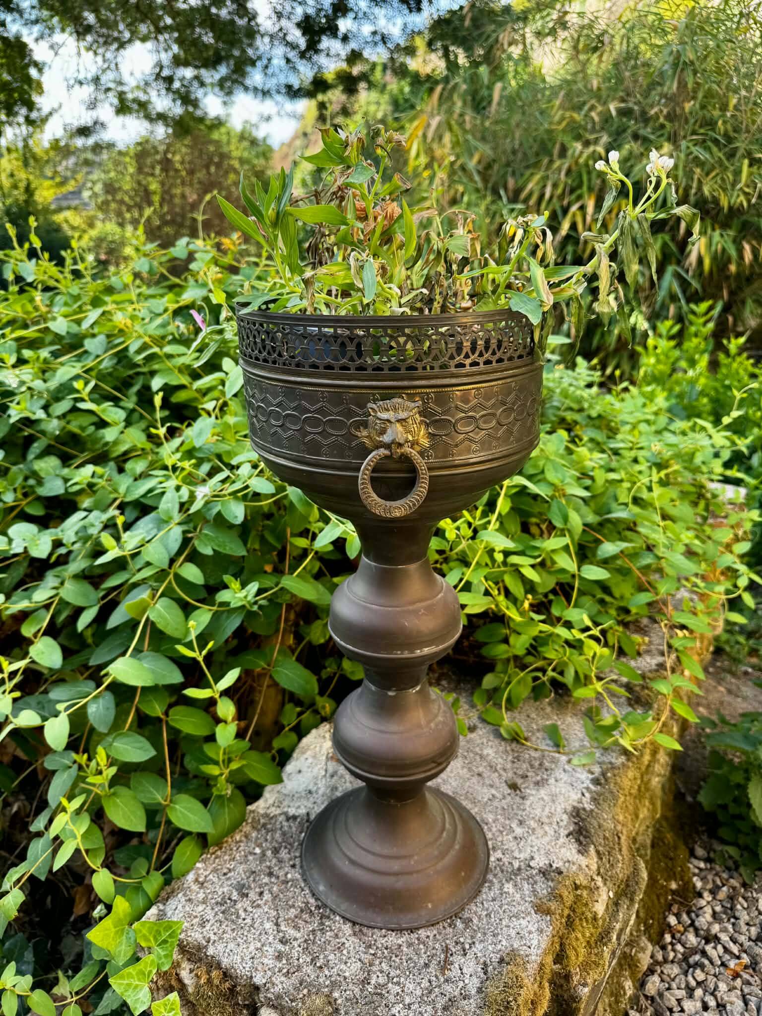 Large brass lion planter on a stand in Baroque Art Nouveau style.