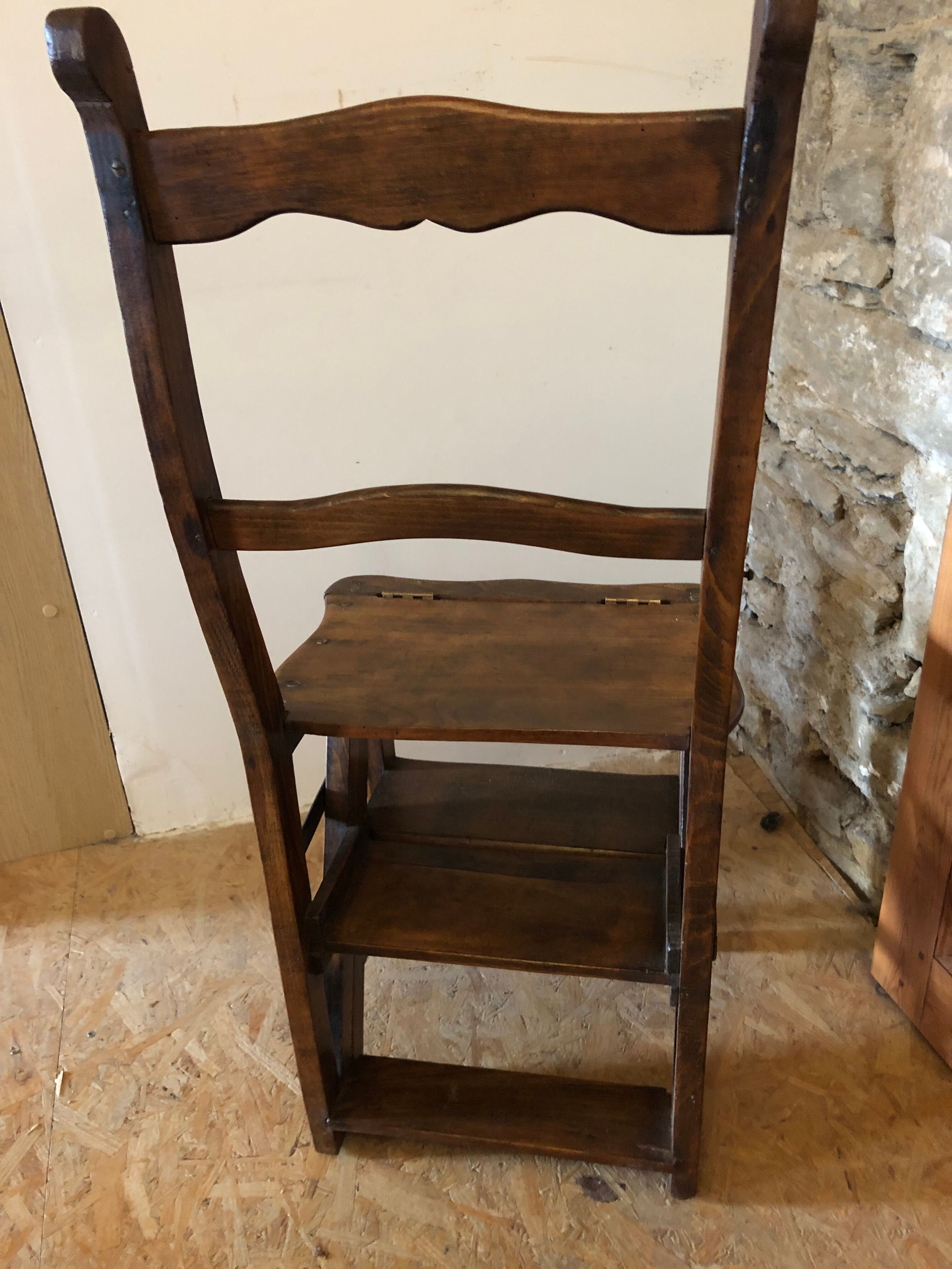Bookcase chair/stepladder