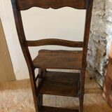 Bookcase chair/stepladder