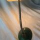 Lampe de bureau, vintage 1950, flexible, métal émaillé  vert