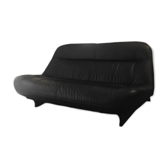 Ligne Roset Sofa