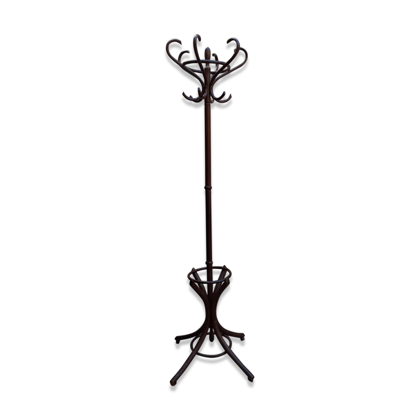 Curved wooden parrot coat holder
