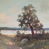 Lake landscape in summer