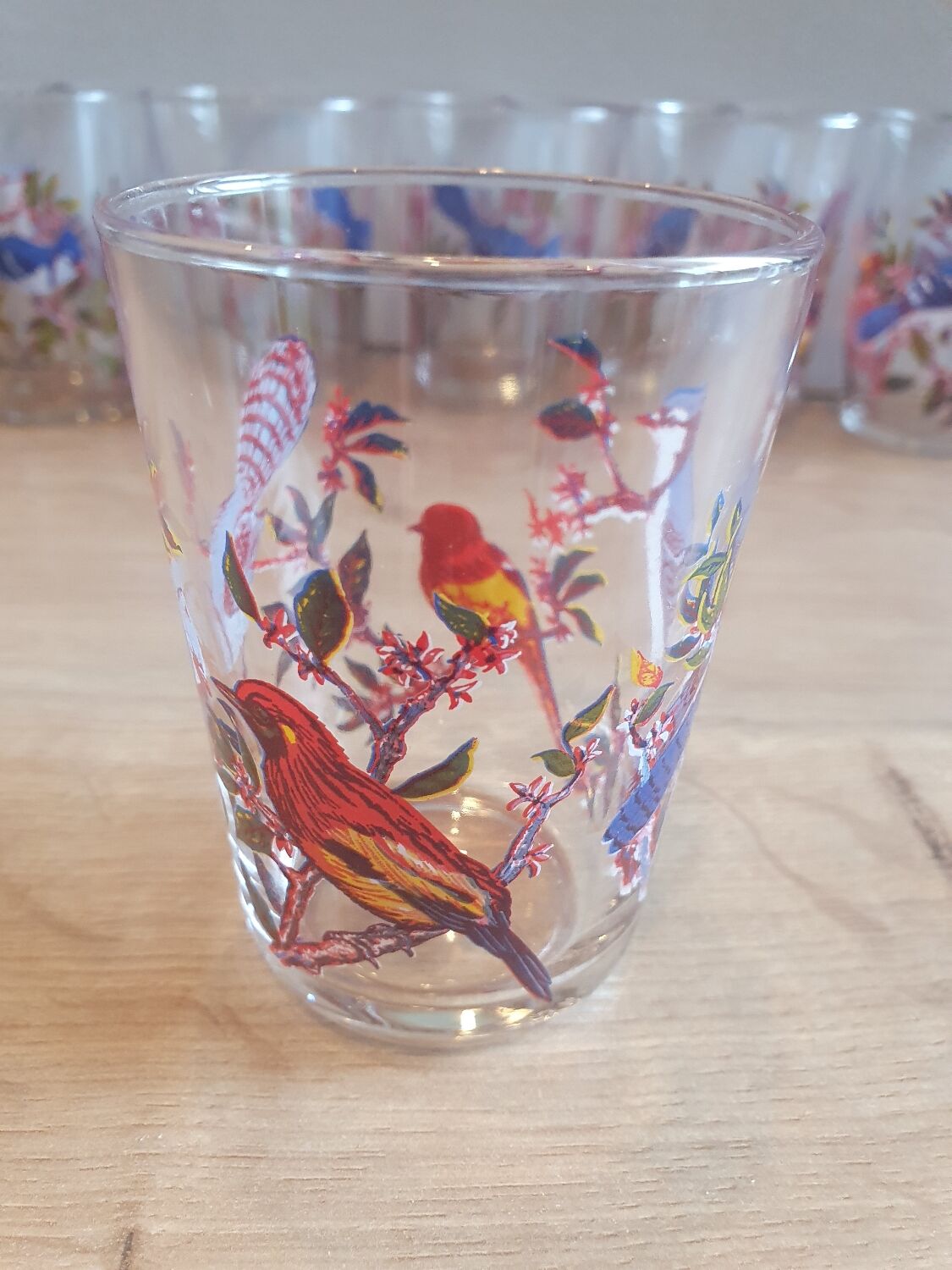 Vintage bird glasses