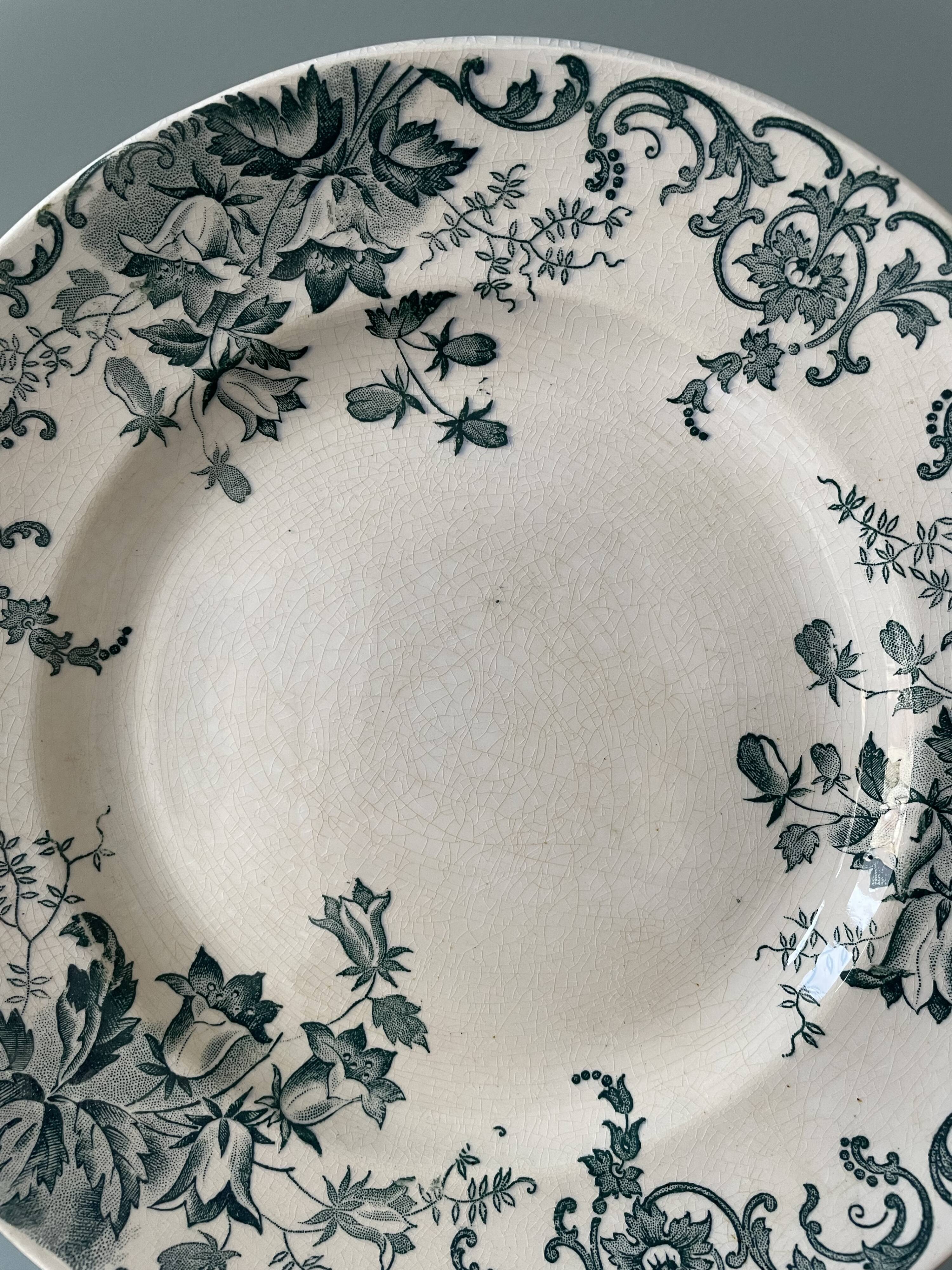 Lot de 9 assiettes plates Terre de Fer modèle « Campanule » St Amand et Hamage