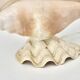 Accent lamp made of natural white shells, 1960s.