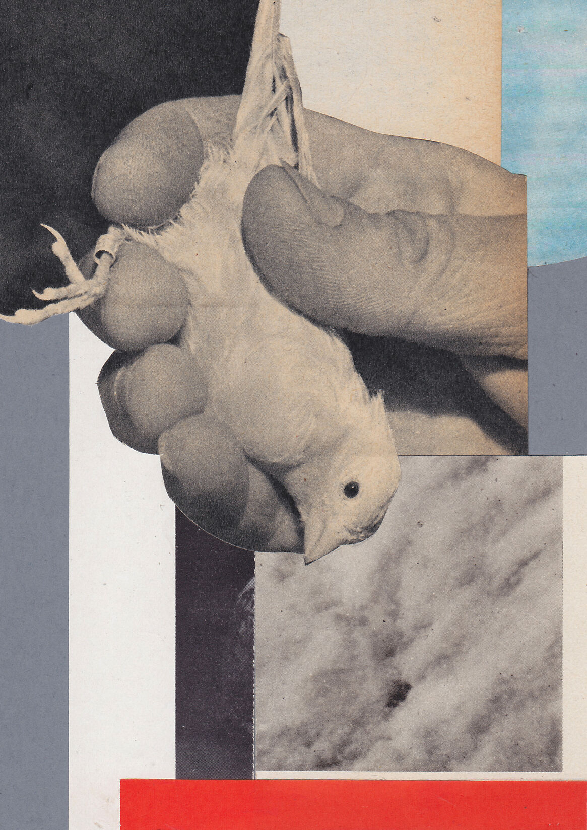 Collage on spring paper