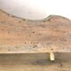 Old pediment in solid and marquetry wood