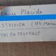 Laure Placide 1917-2014 – Pins in Provence, Ménerbes, August 1960
