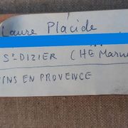 Laure Placide 1917-2014 – Pins en Provence, Ménerbes, août 1960