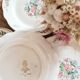 Lot de 6 assiettes à dessert Digoin&Sarreguemines