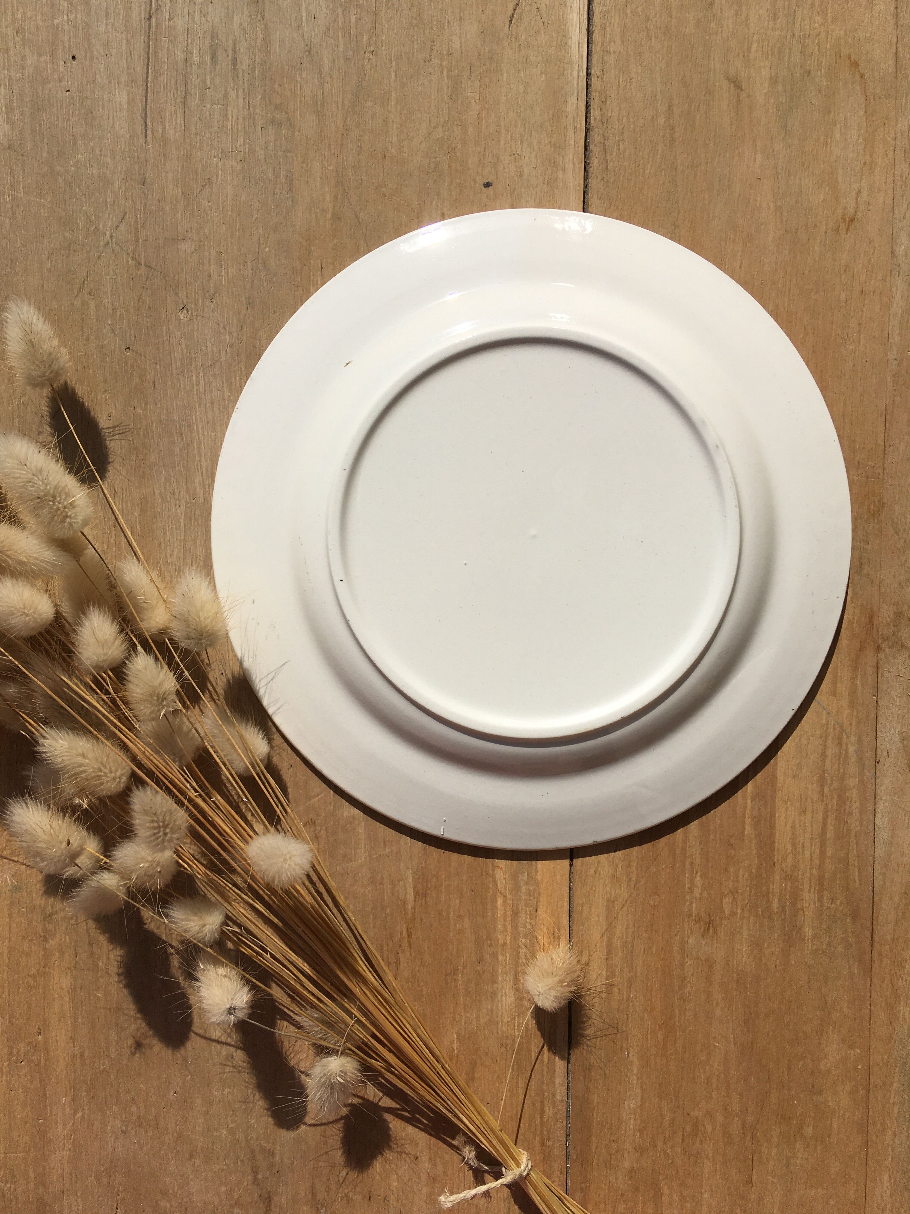 Blue landscape dessert plates