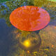 ORANGE smoked glass tulip foot table Gastone Rinaldi