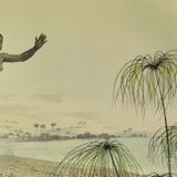 Original zoological plate of 1839 " the crocodile "