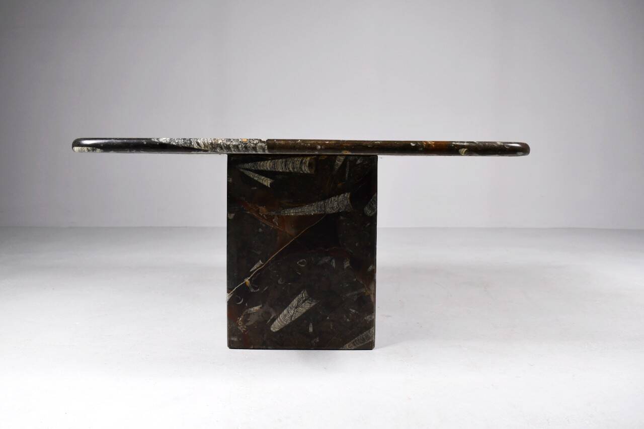 Vintage fossilized stone coffee table