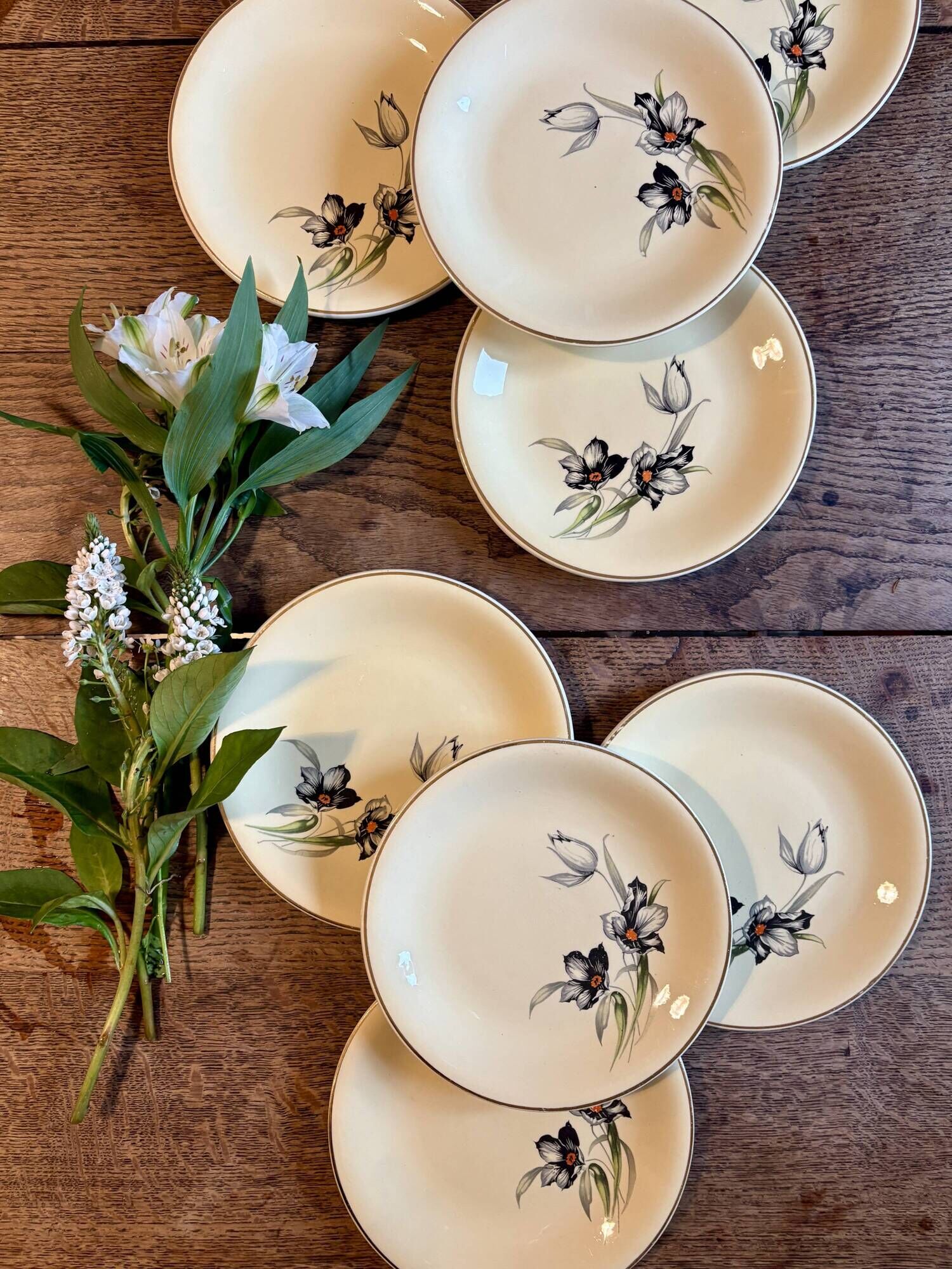 Set of 8 vintage dessert plates, Tulipe by Céranord